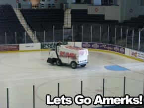 Zamboni Scrapes Ice